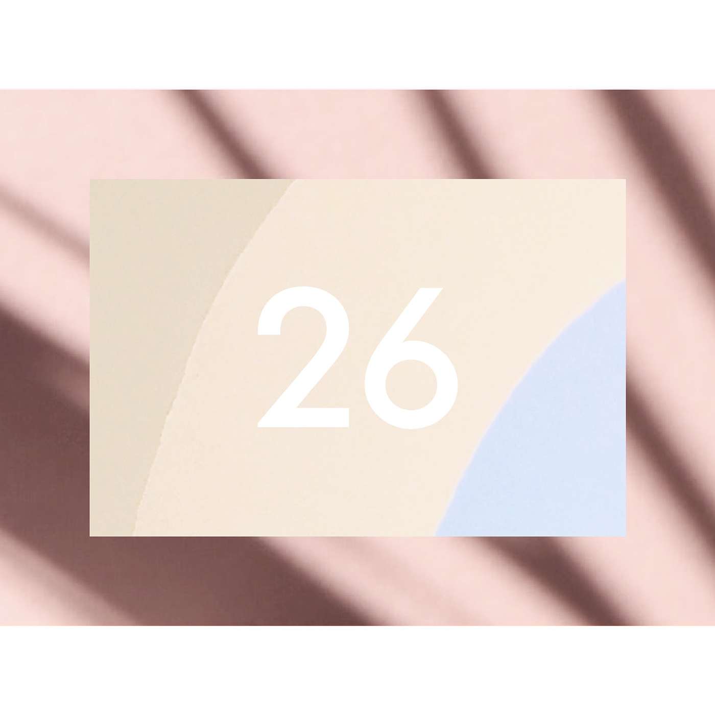 26