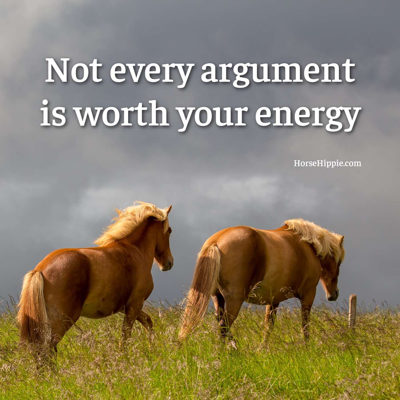 Not Every Argument is Worth the Energy