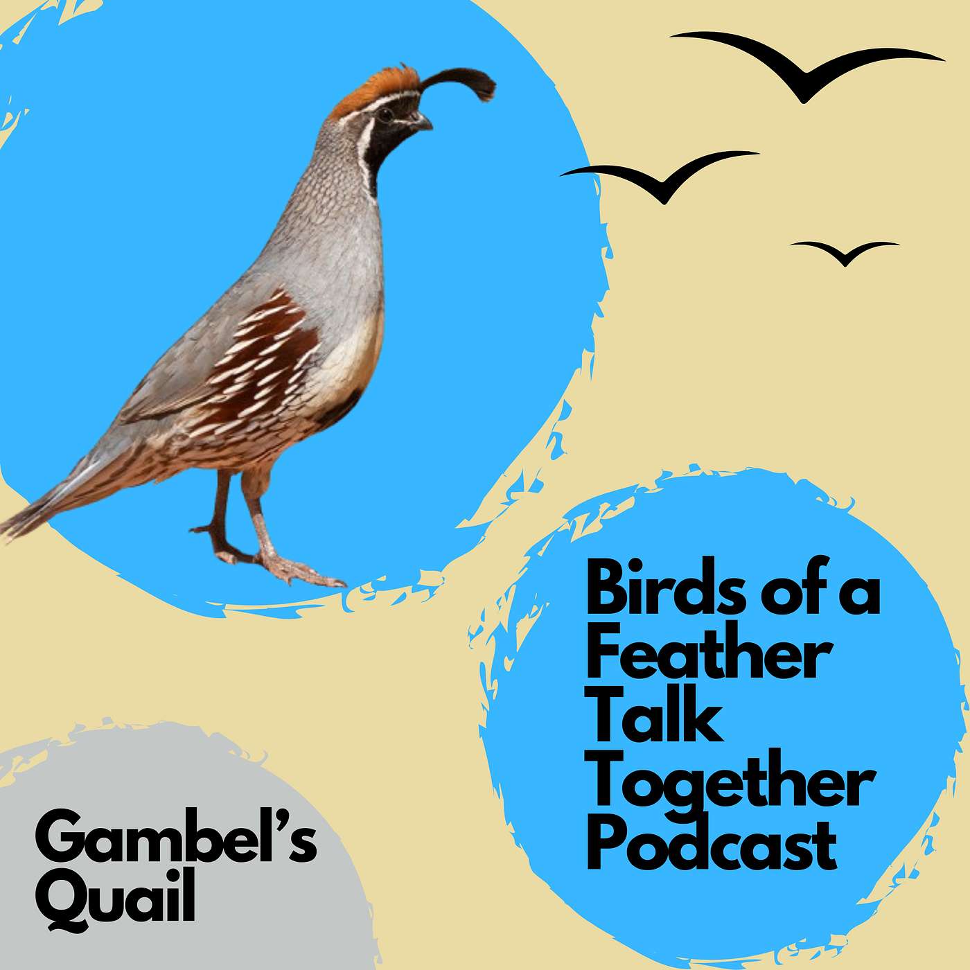 Birds of a Feather Talk Together