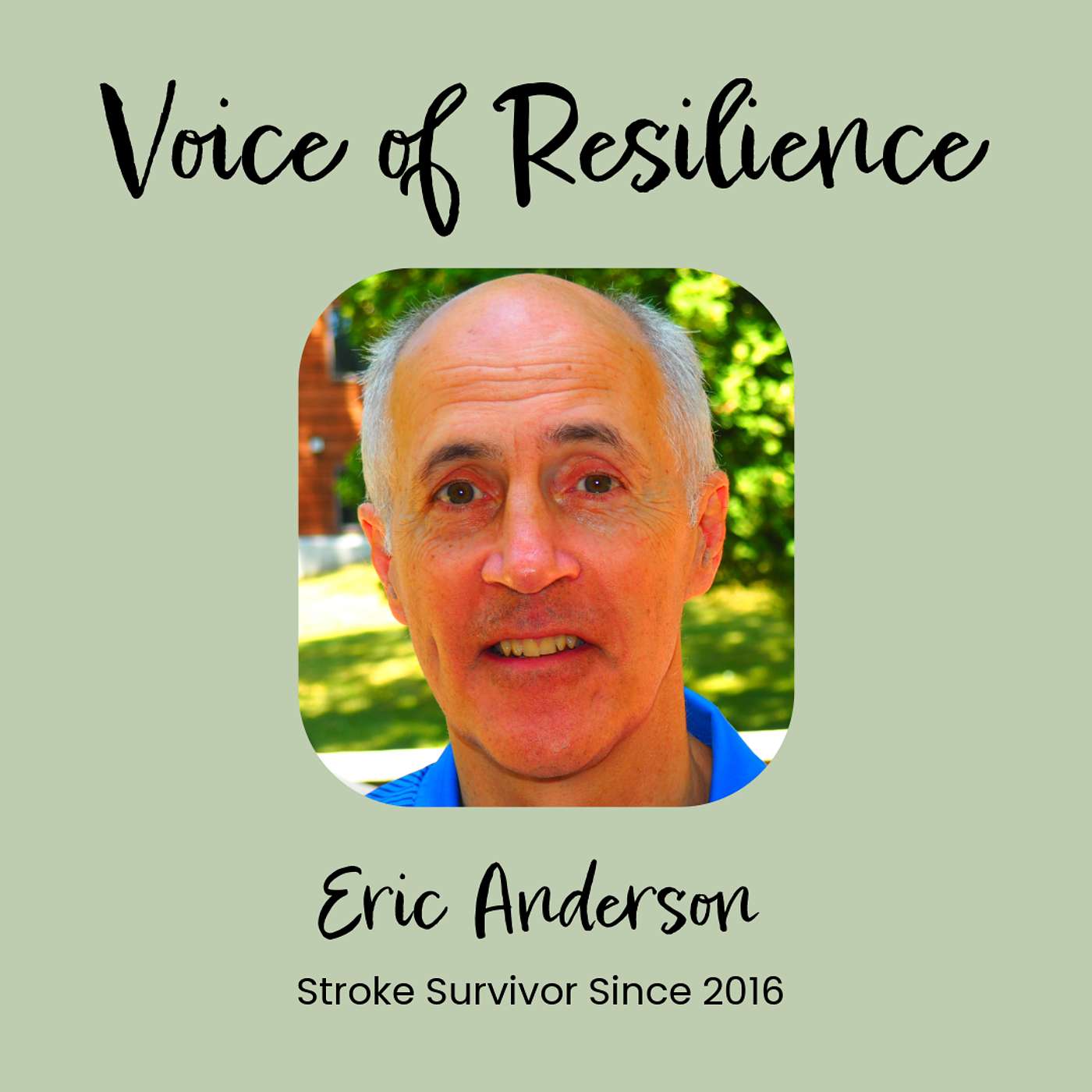 Voice of Resilience - Eric Anderson