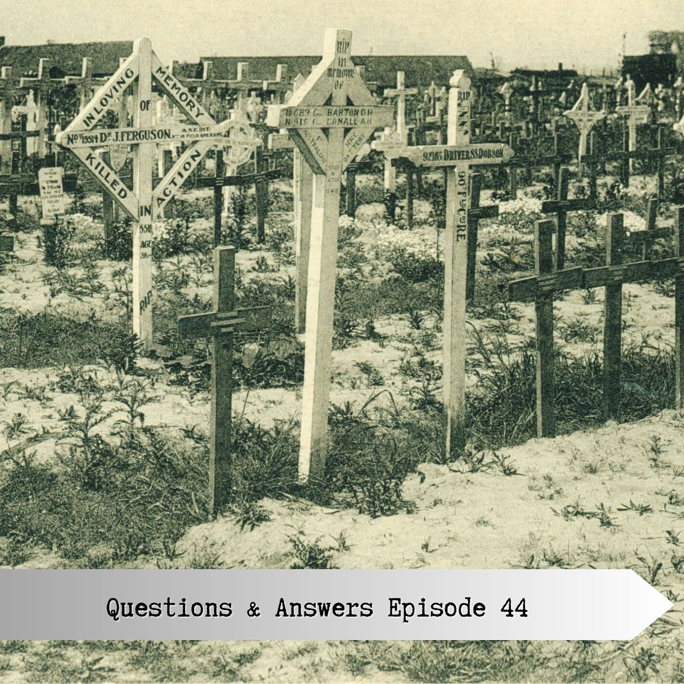 Questions and Answers Episode 44