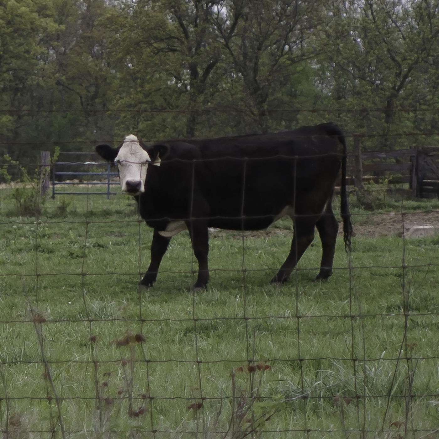 Episode 9: All Hat, No Cattle Preppers... Don't Be That Guy!
