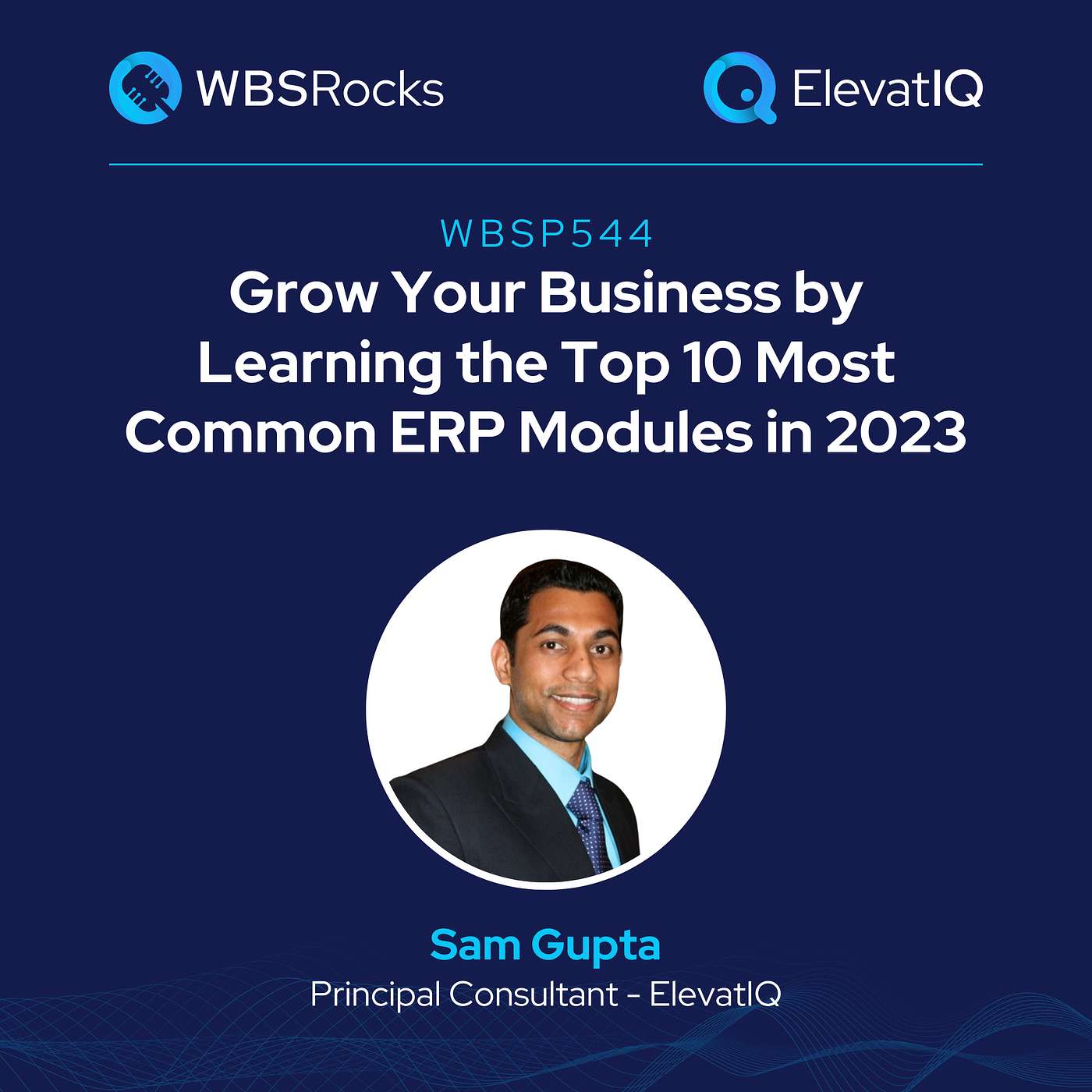 WBSRocks: Business Growth with Enterprise Software and Digital Transformation