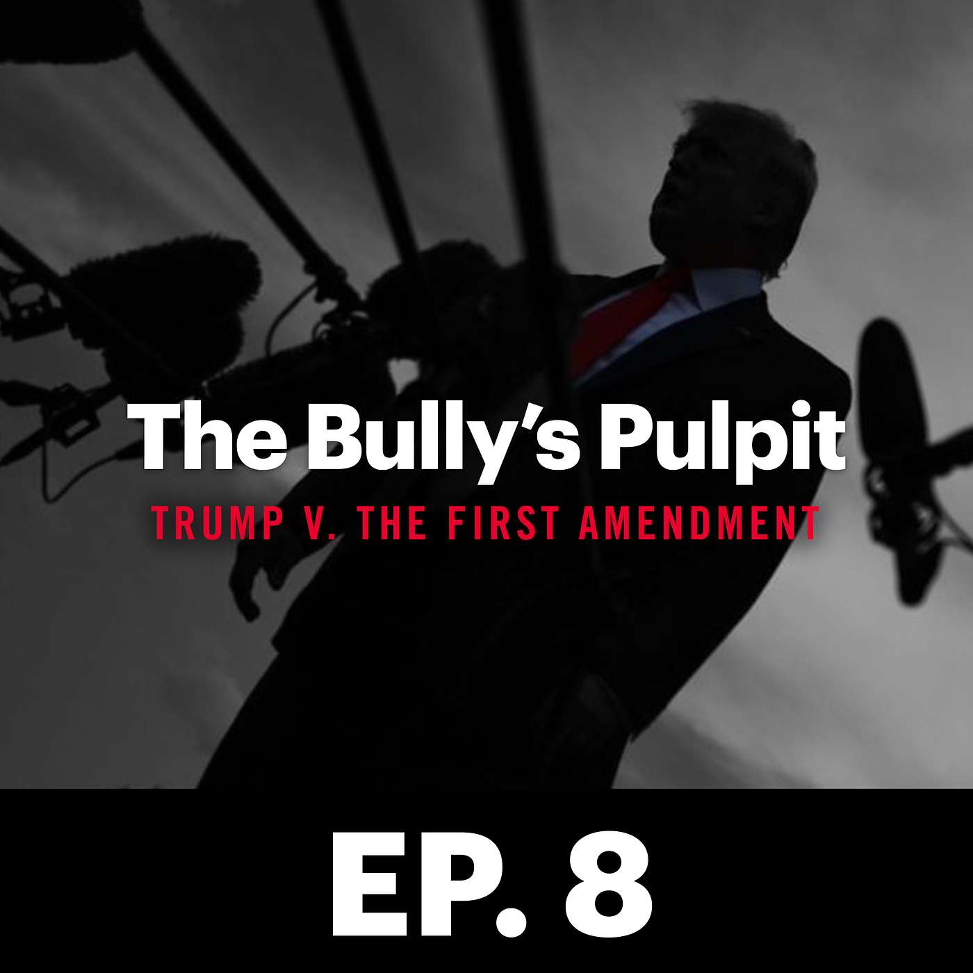 The Bully\'s Pulpit: Trump v. The First Amendment