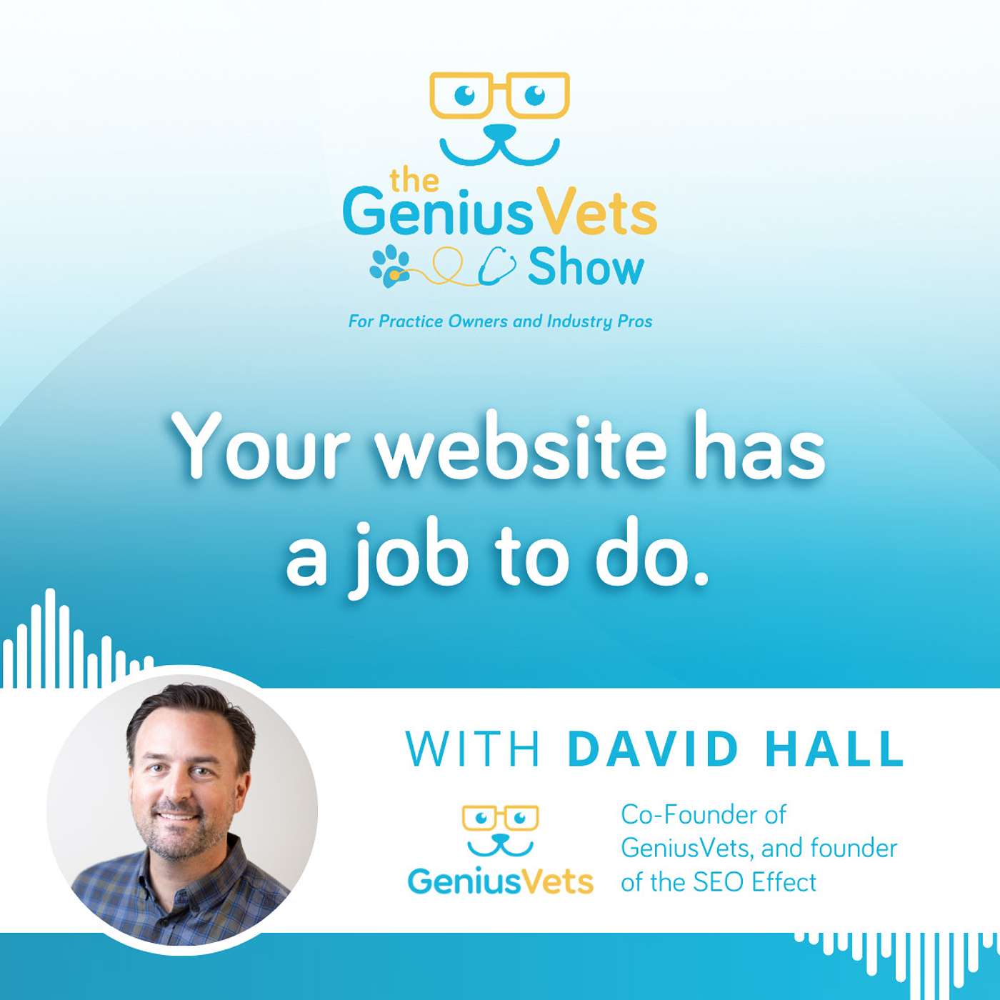 The GeniusVets Show - For Practice Owners and Industry Pros