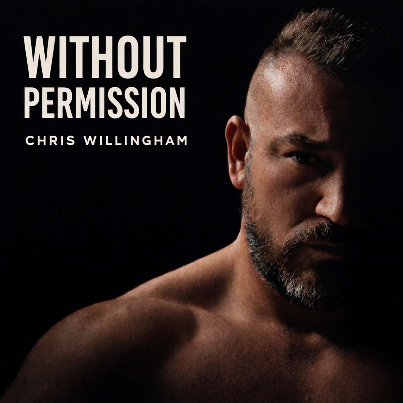 Without Permission cover art