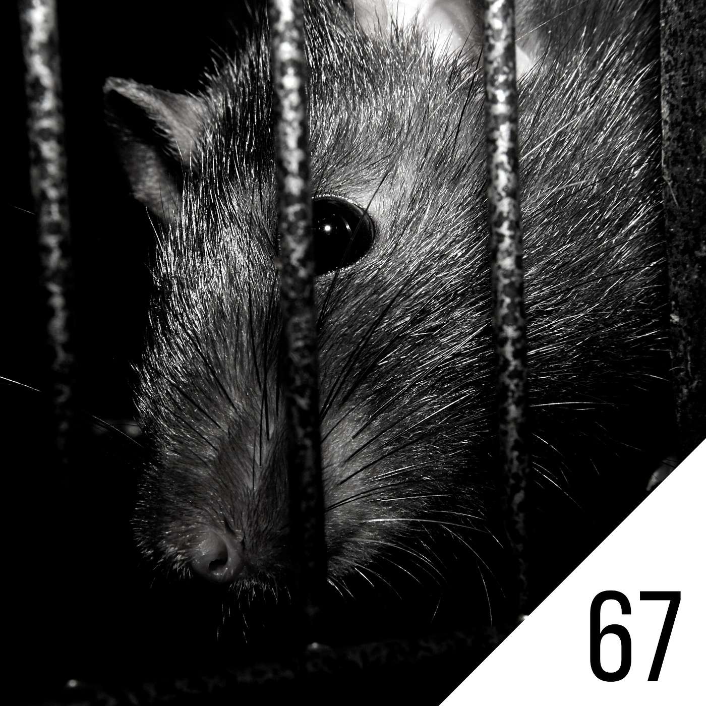 #67 3x Book reviews: The Rats (1974), Flight into Fear (1972), A Fall of Moondust (1961)