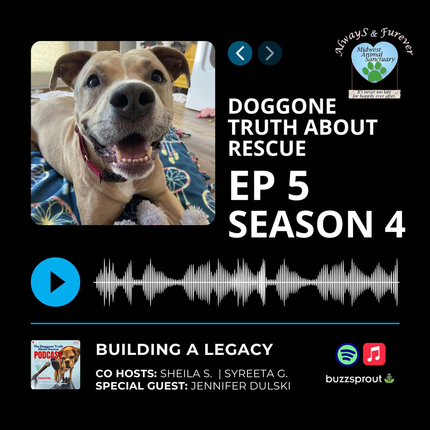 The Doggone Truth About Rescue - Always & Furever
