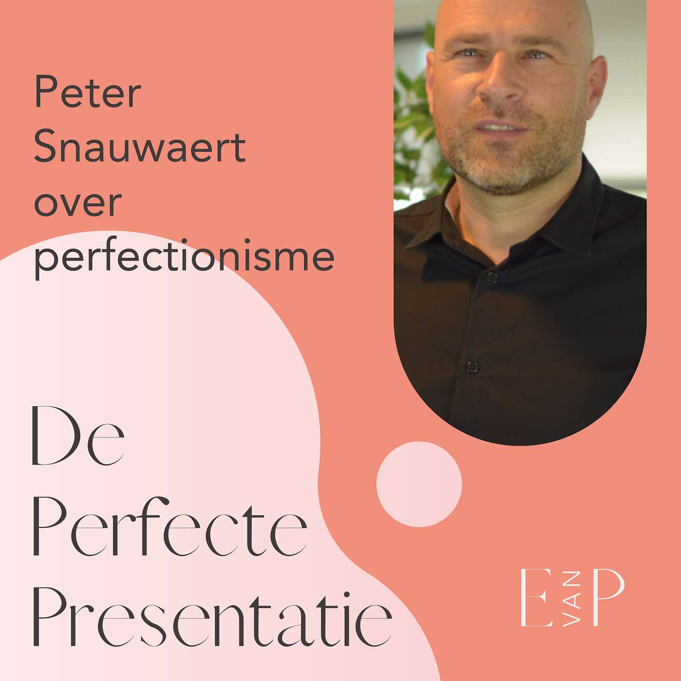 De perfecte presentatie