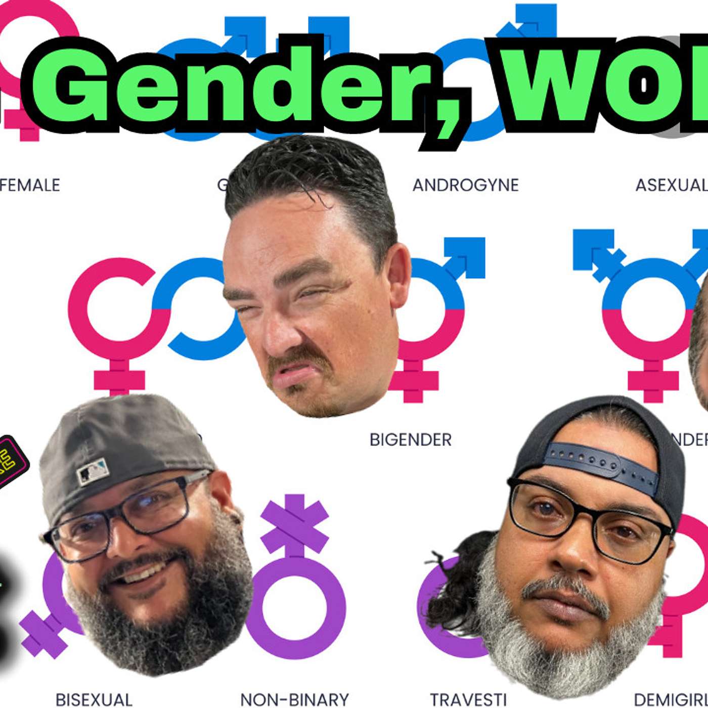 What is a sex? What is a gender? What is the difference between sex and gender? Why question anyone’s beliefs!