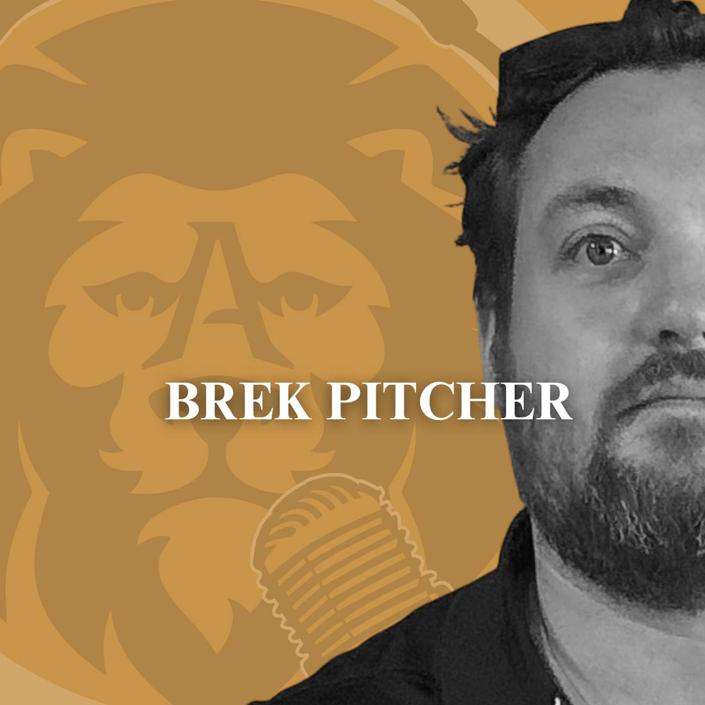 In The Arena Podcast