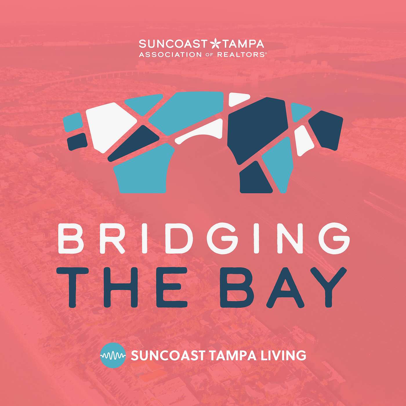 Bridging the Bay with Dr. Sarah Combs of Metropolitan Ministries episode artwork