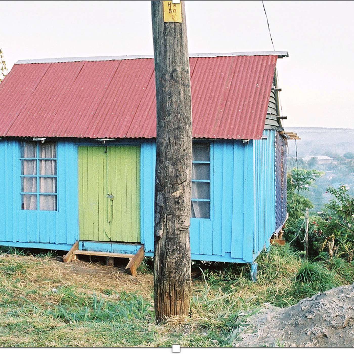 Teacher Tails - Karrer Shorts