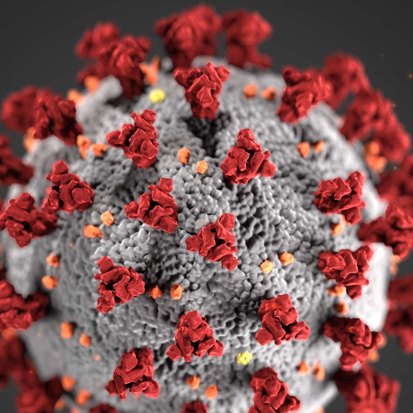 SSD 132 - Le Sénégal prêt pour la fabrication des vaccins à ARN messager episode artwork
