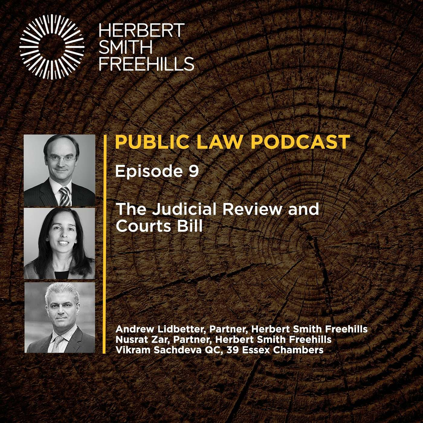 Public Law Podcast EP9: The Judicial Review and Courts Bill episode artwork