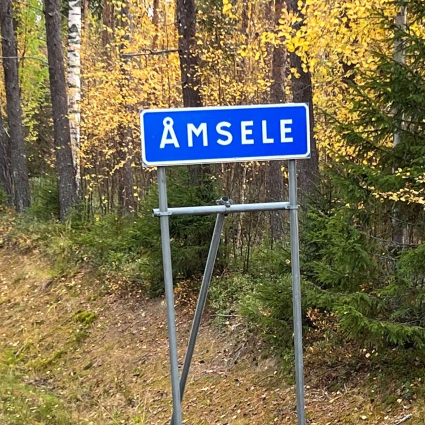 Triple Murders: The Åmsele Case Triple Murders: The Åmsele Case