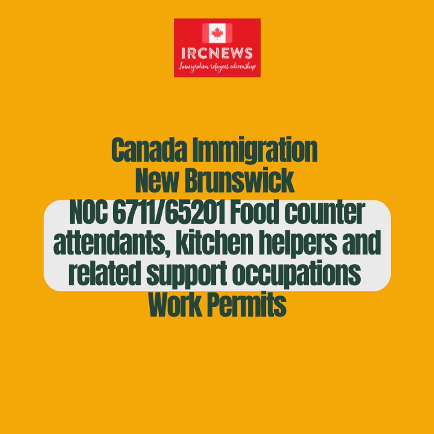 Canada Immigration New Brunswick NOC 6711/65201 Food counter attendants, kitchen helpers and related support occupations Work Permits episode artwork