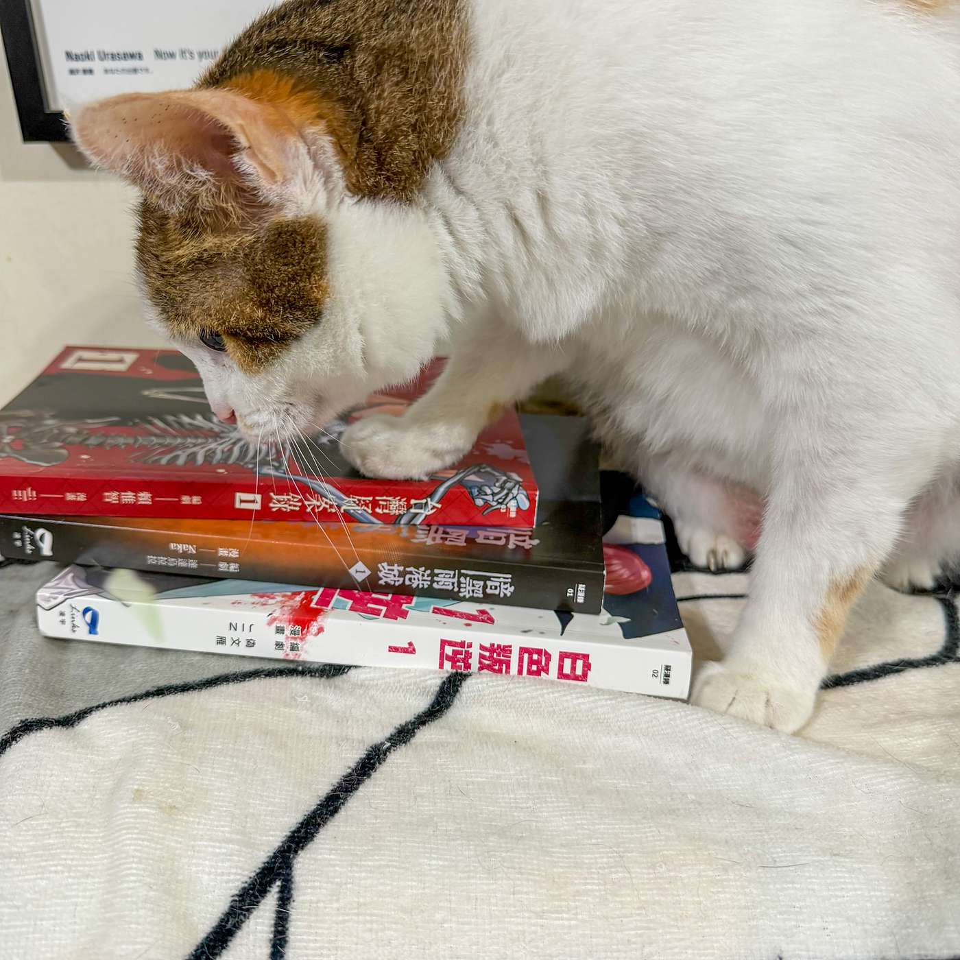 【鮑鮑看漫畫EP82】台漫新路線：重大歷史懸疑案件改編《台灣疑案錄》、《暗黑雨港城》、《白色叛逆》