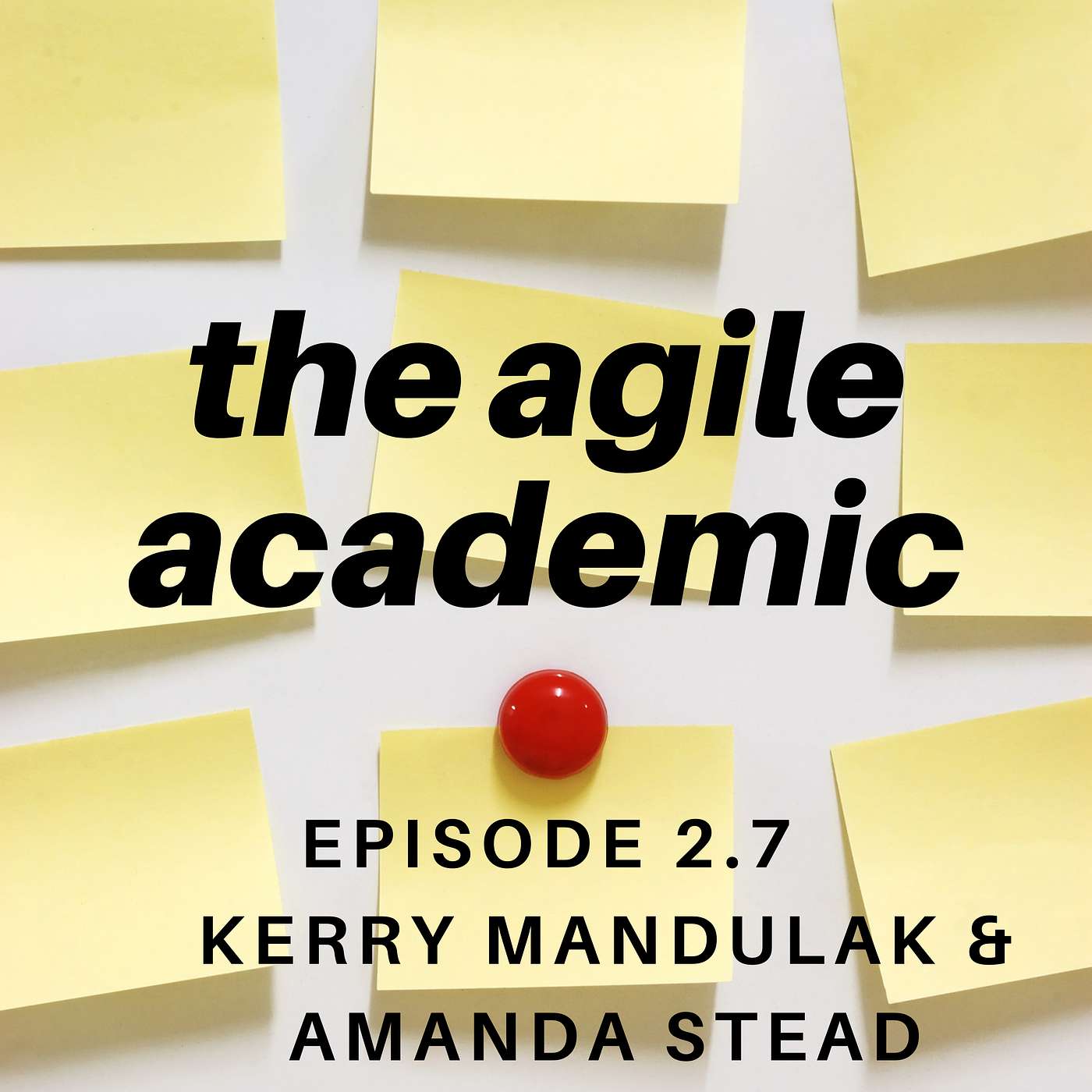 the agile academic