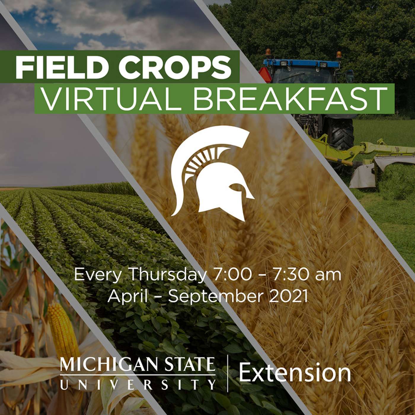 Michigan Field Crops