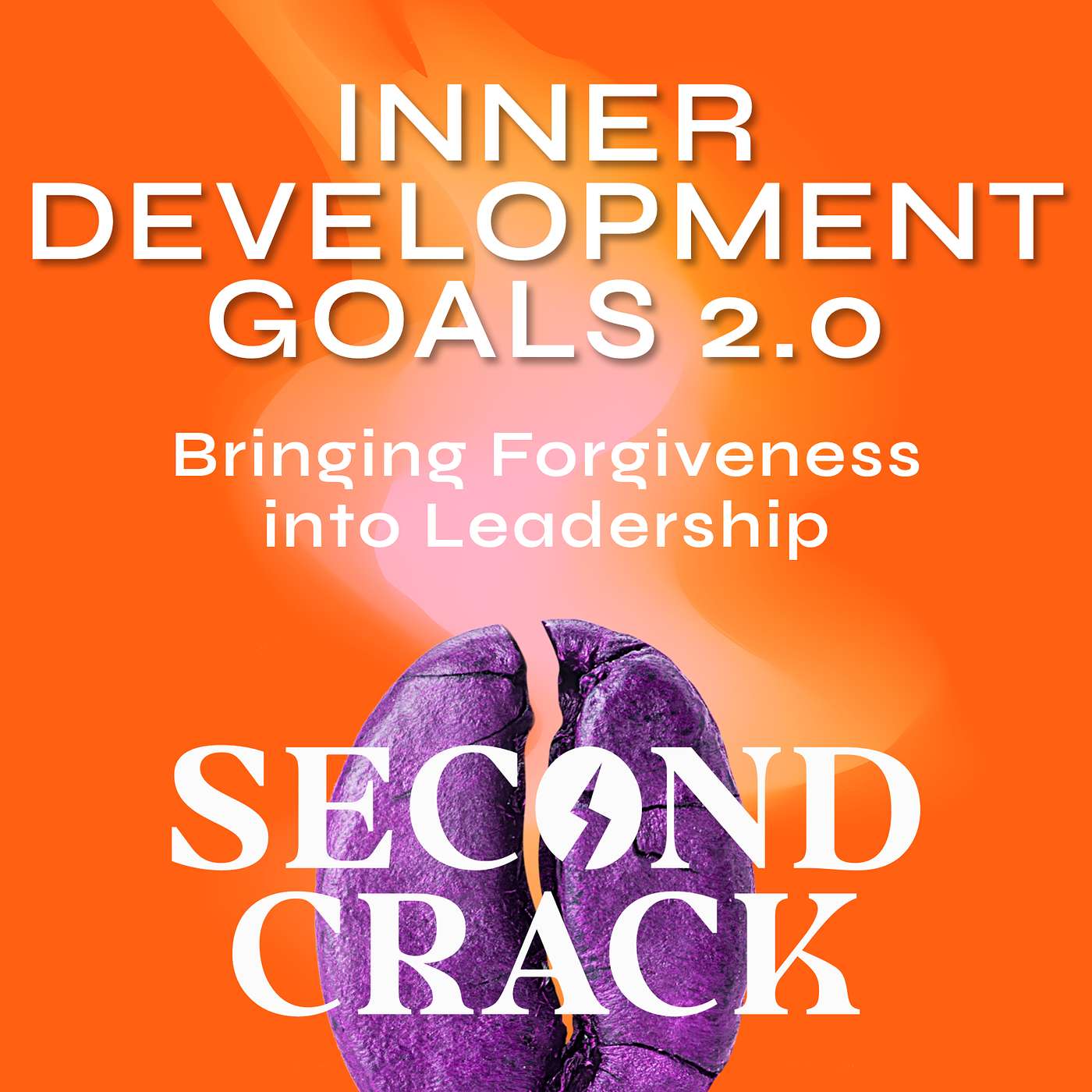 The Inner Development Goals 2.0 - Bringing Forgiveness into Leadership