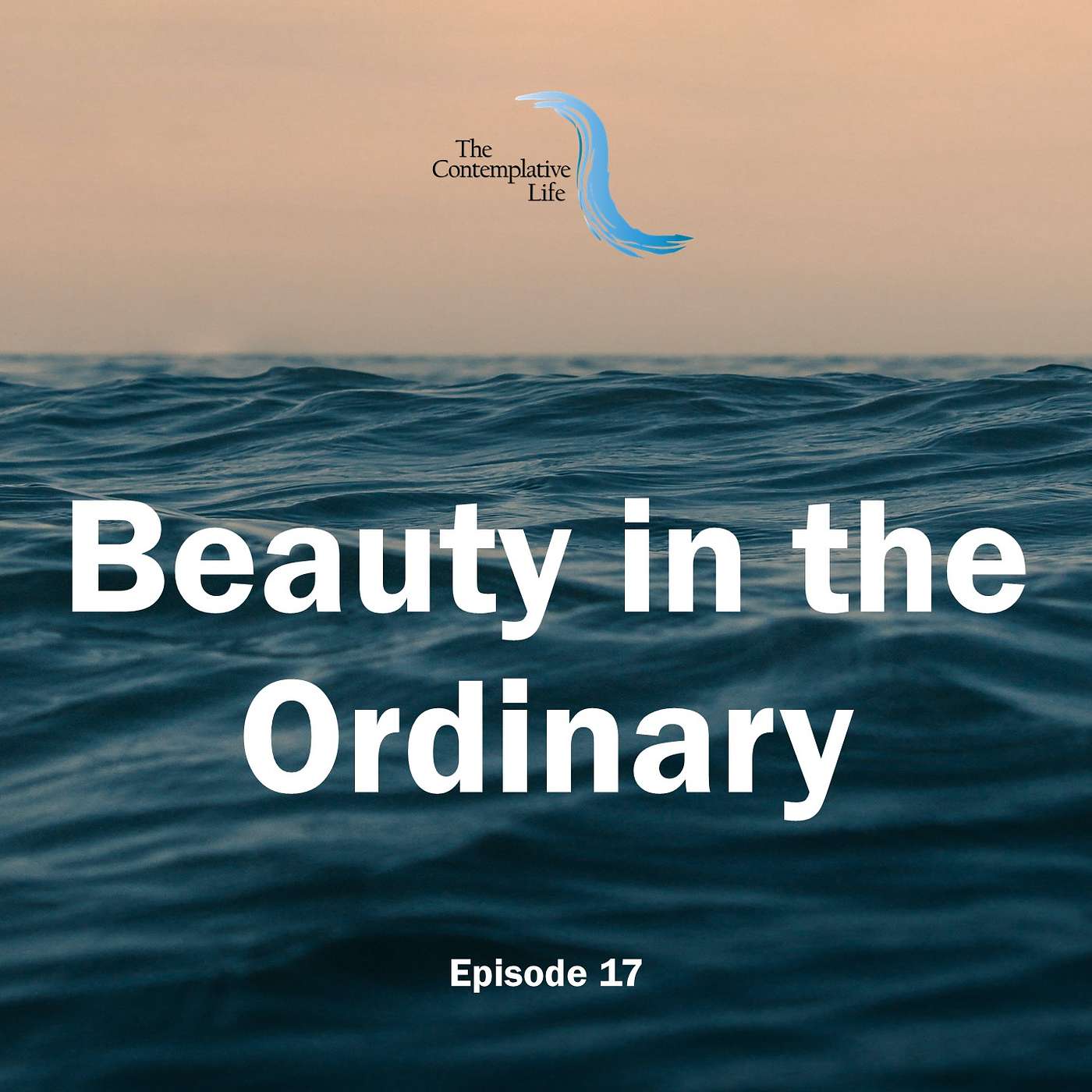 Ep 17 Beauty in the Ordinary