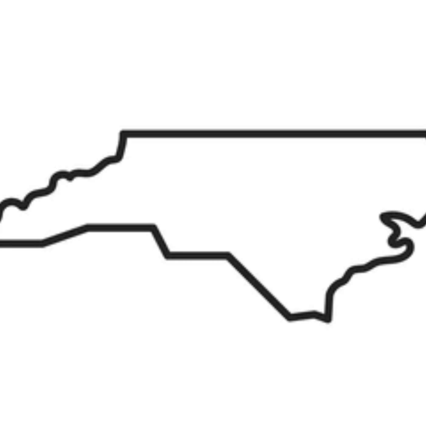 NORTH CAROLINA FAMILY COURT: THE MONOPOLY BEHIND THE SCENES; With Stetson Webster, Amy Betts, Amy Palacios, Kim And Temple