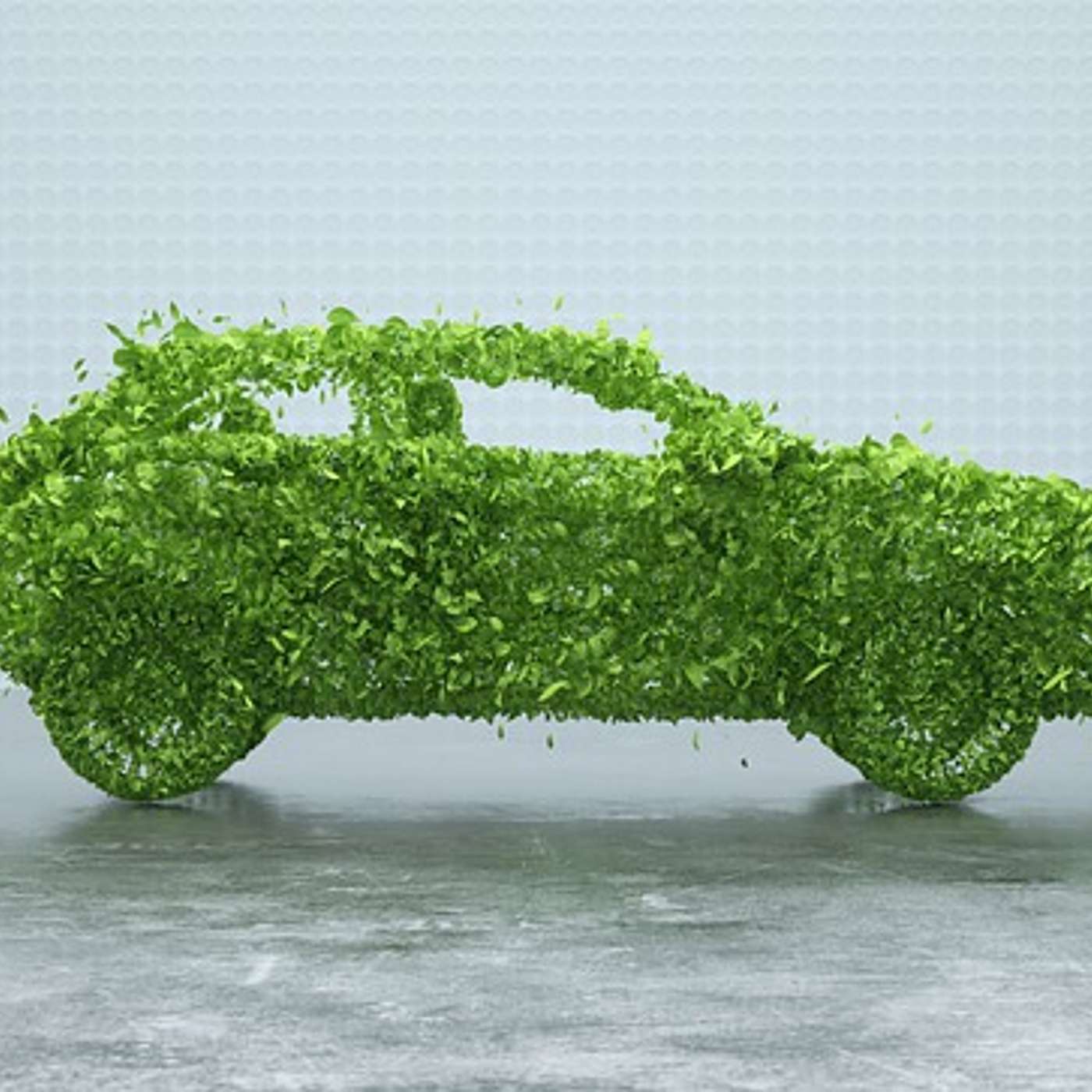 #061 Twelve Tips for Sustainable Travel