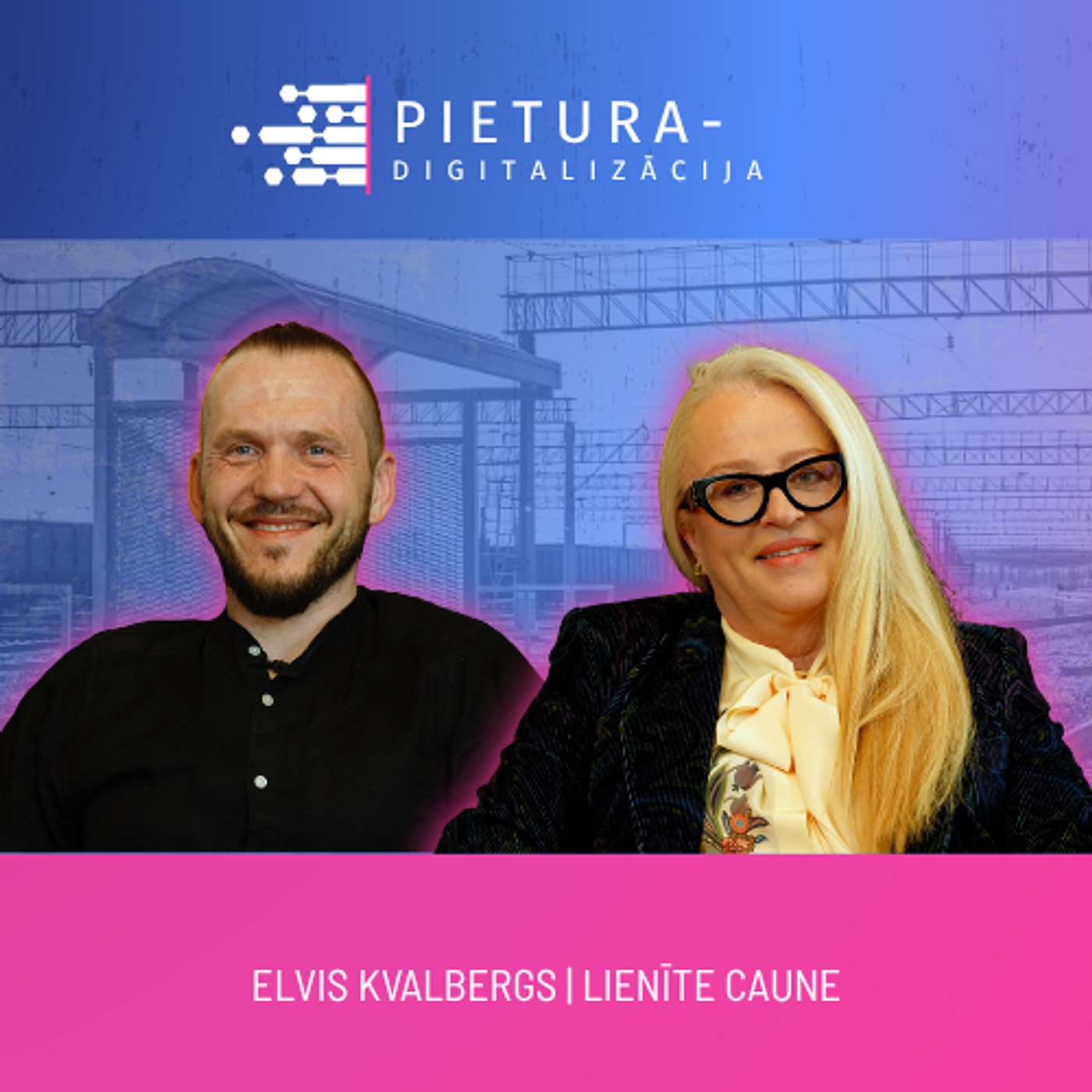 Grāmatveži bez digitalizācijas dzīvo ellē - Lienīte Caune episode artwork