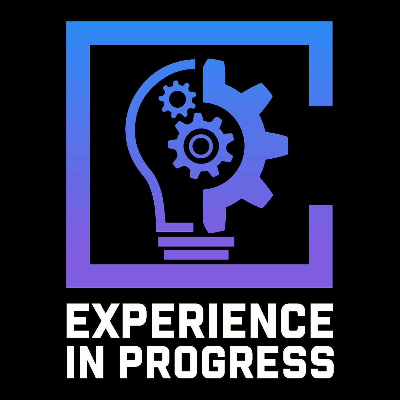 Experience in Progress