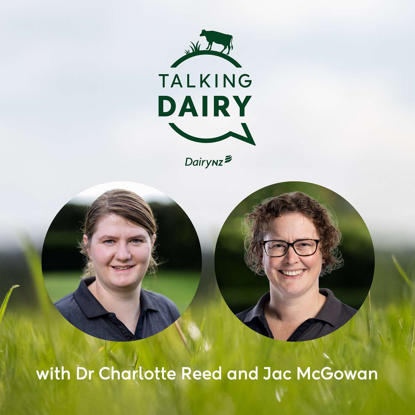 Heat stress research to find the best solutions: Trial update from Scott Farm | Ep. 118