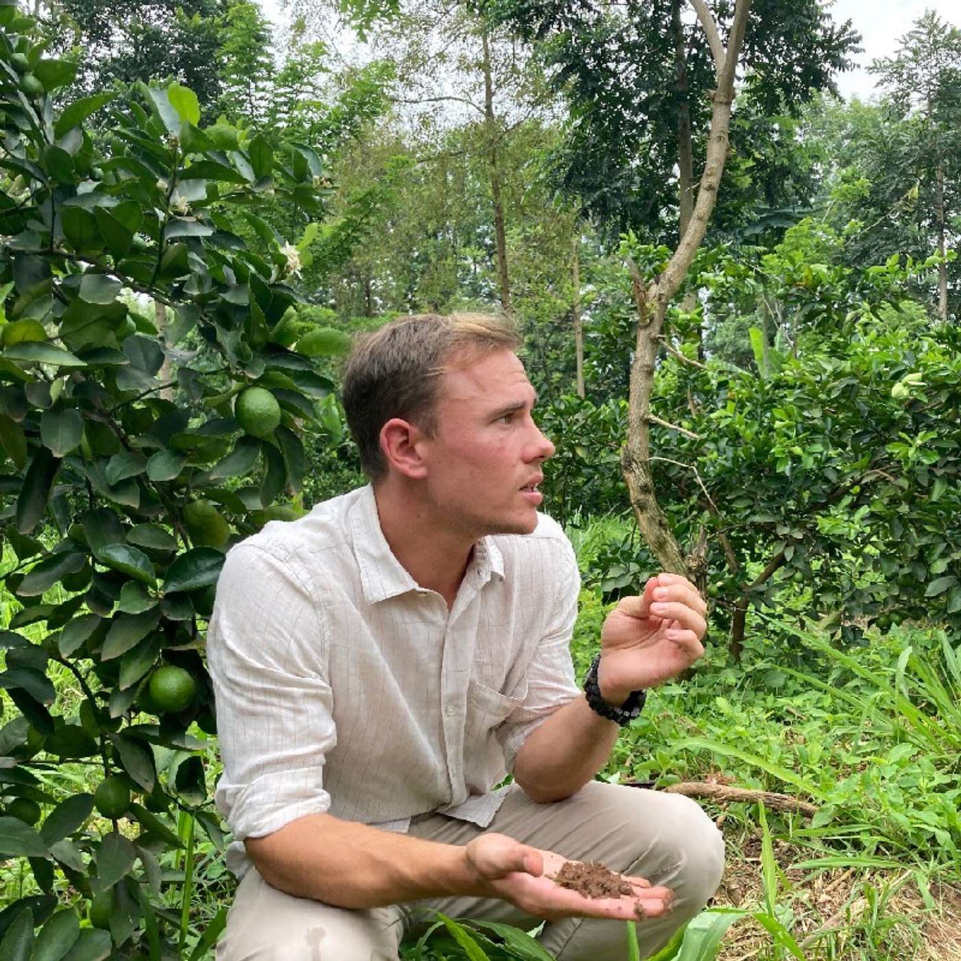 302 Jonas Steinfeld – The many shades of green of agroforestry systems