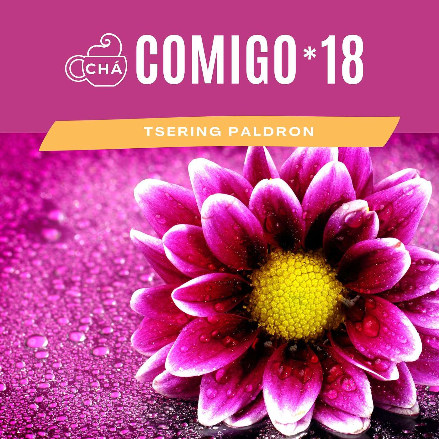 Chá Comigo, Podcast de Tsering Paldron