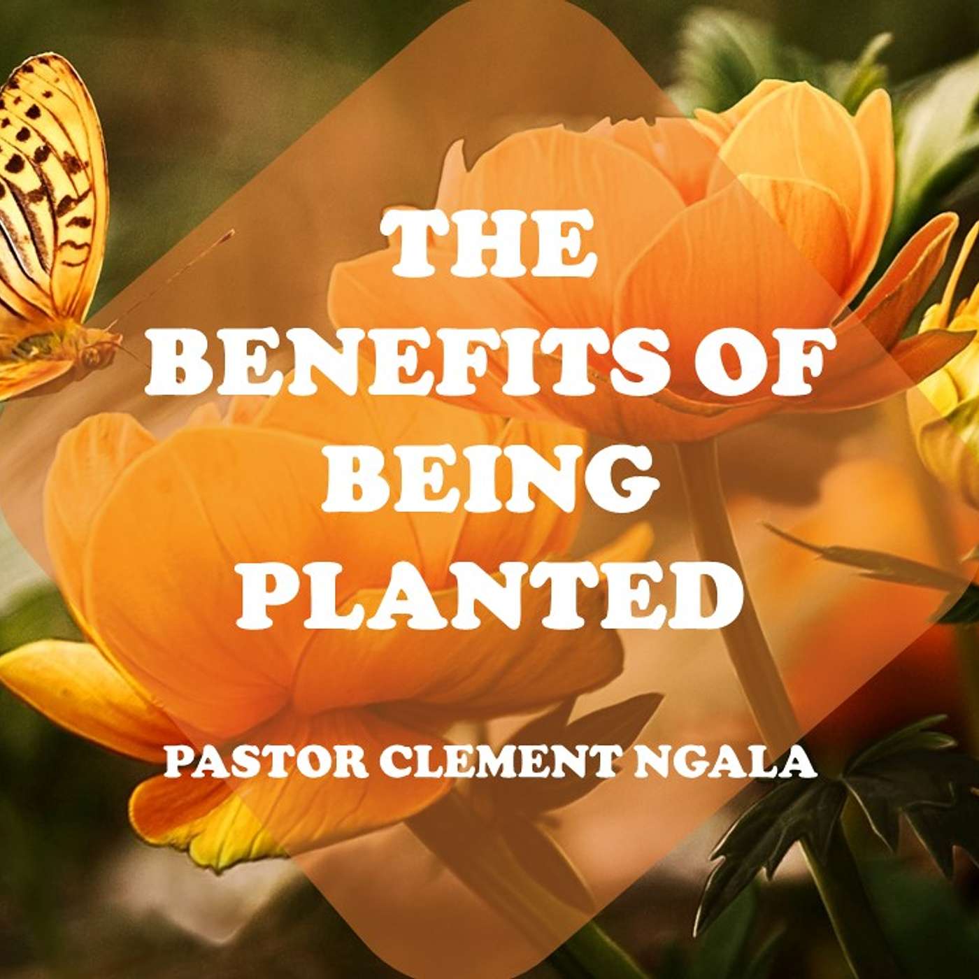 The Benefits of Being Planted episode artwork