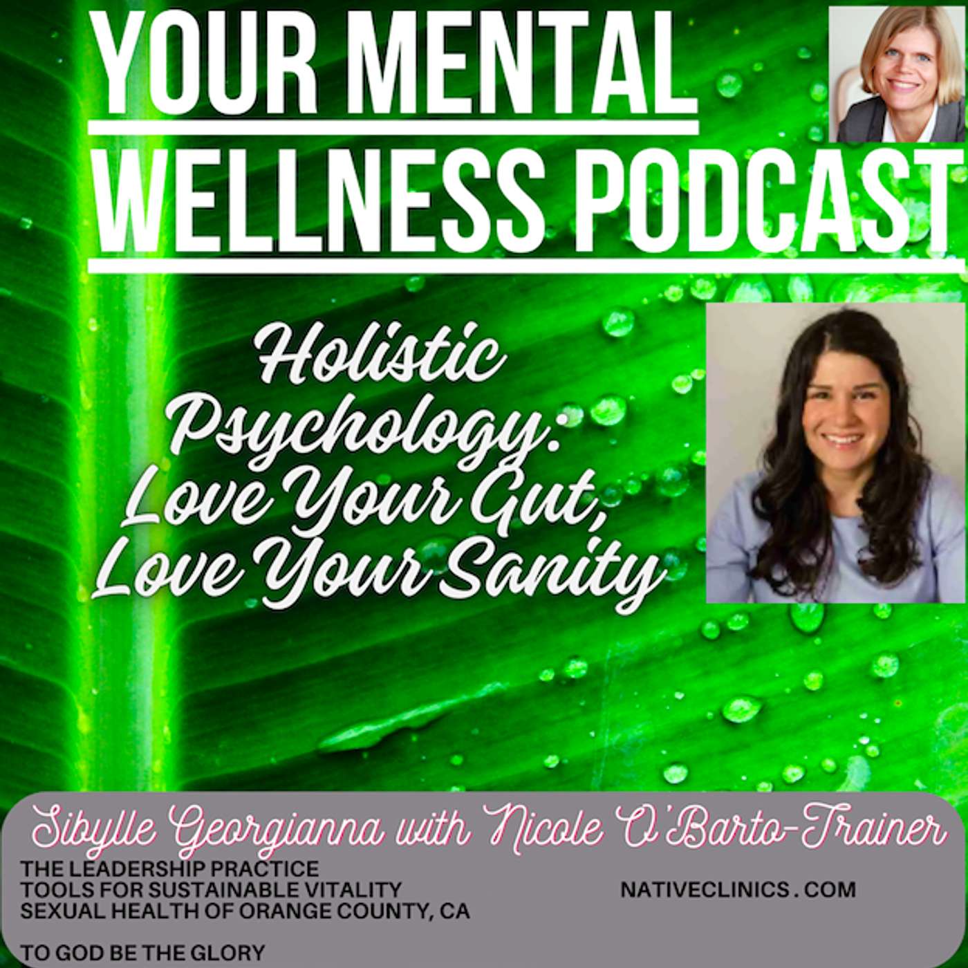 Holistic Psychology- Love Your Gut, Love Your Sanity