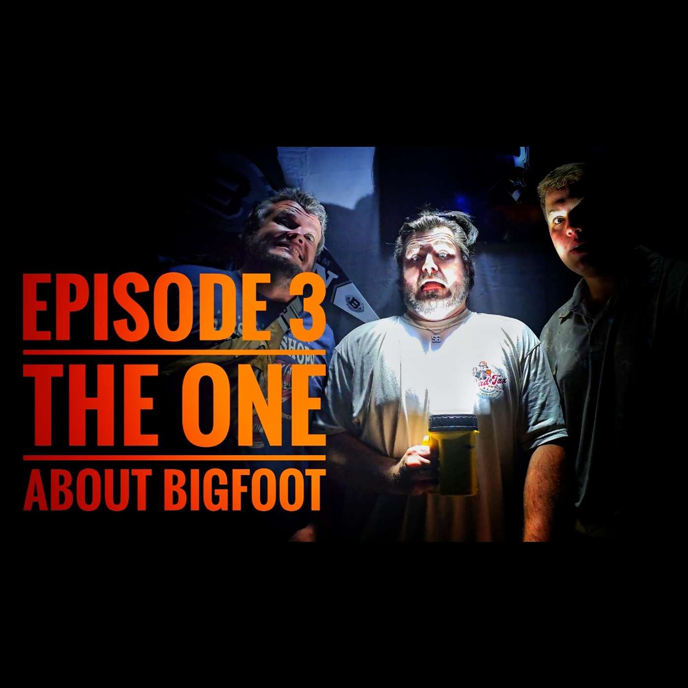 Lost in Stupidity Podcast