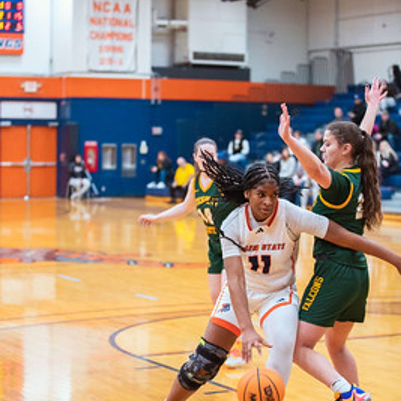 This Week in Vikings Sports (Feb 19-25)