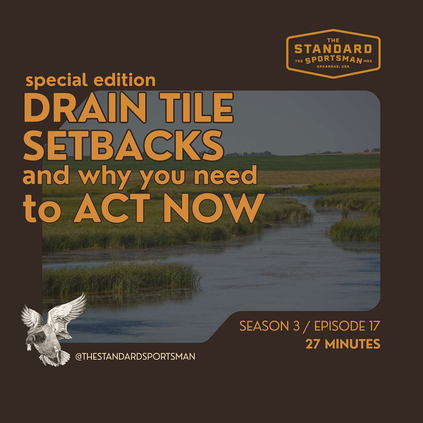 SPECIAL EDITION: Drain Tile Setbacks and Why Duck Hunters Need to Act Now episode artwork