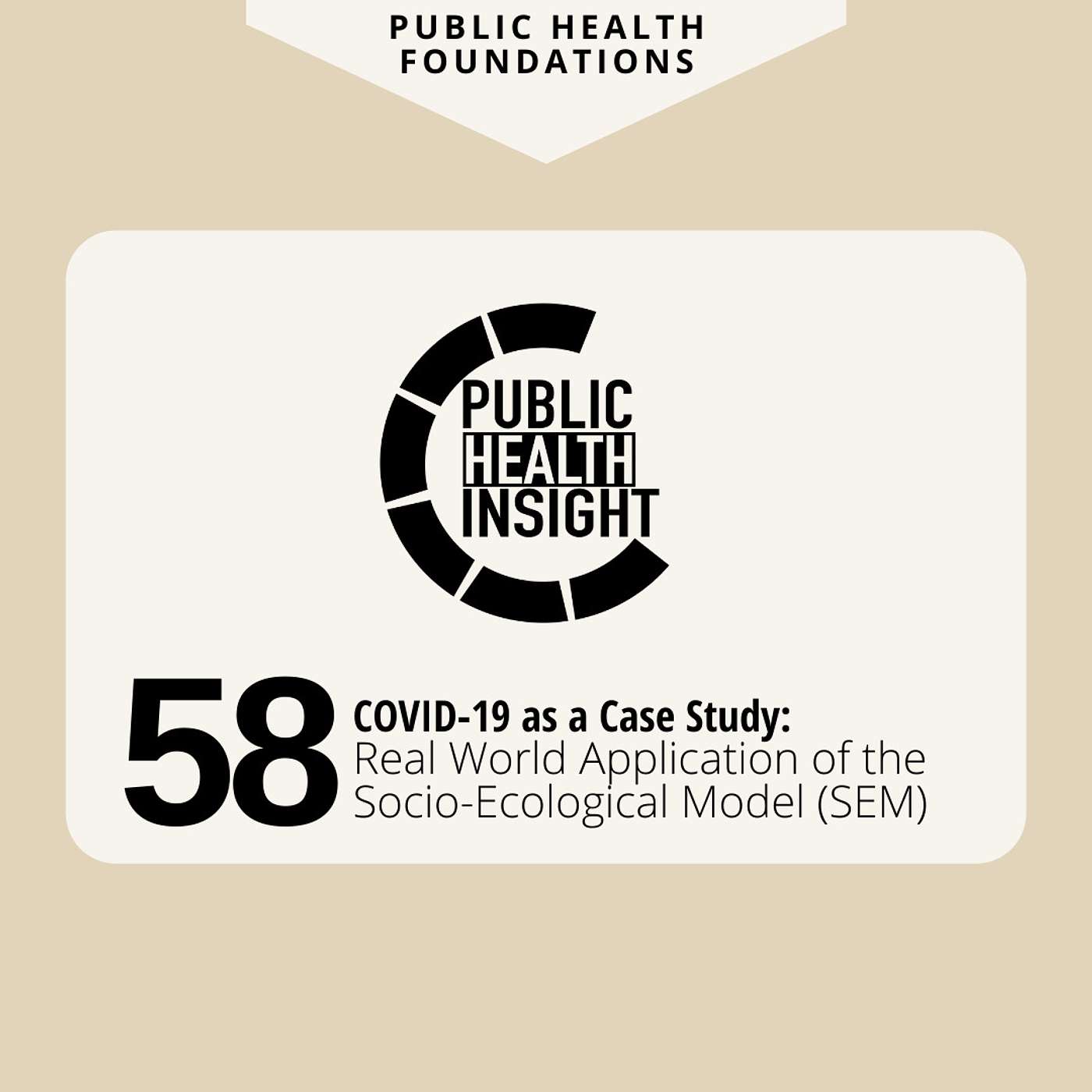 Public Health Insight