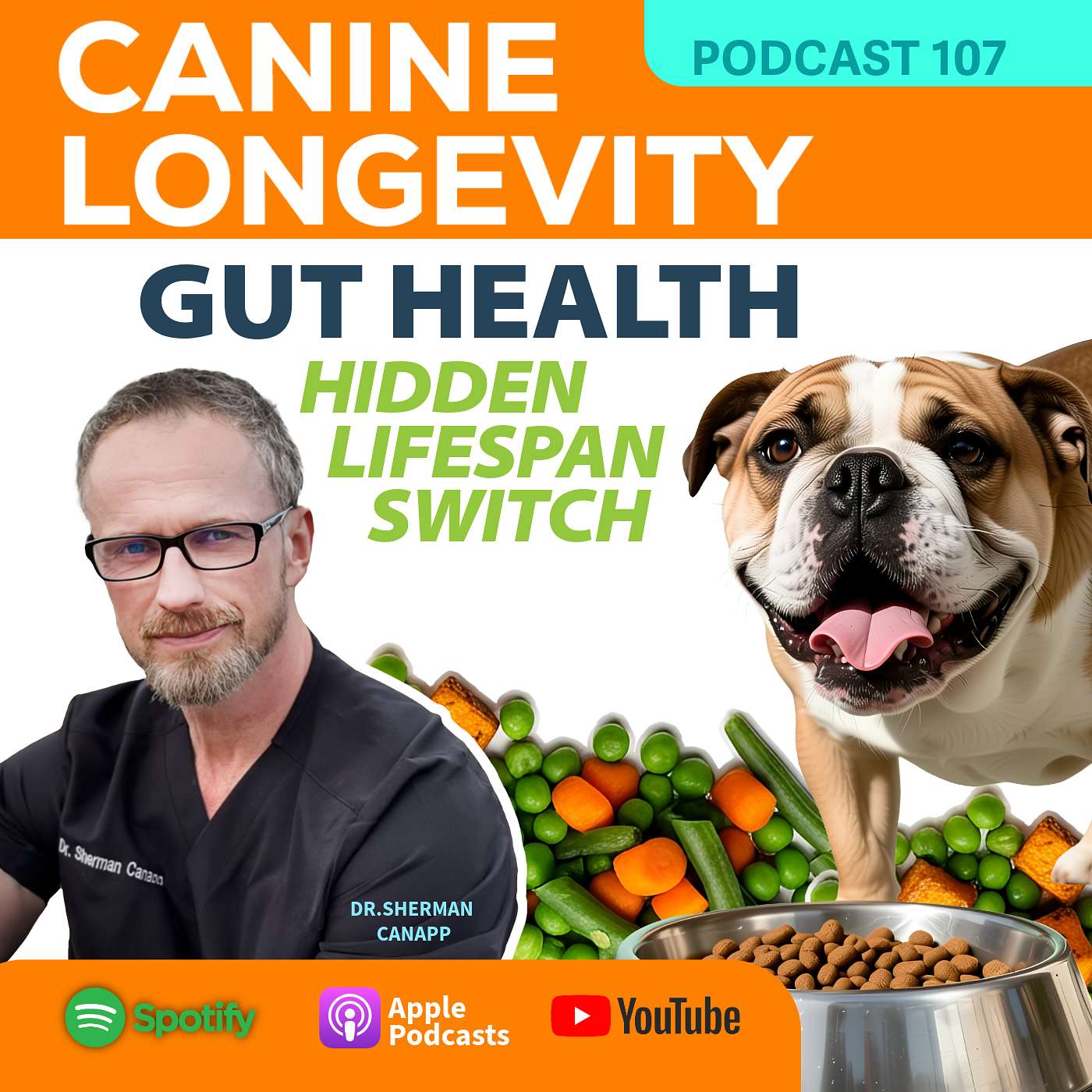 Gut Health-Hidden Lifespan Switch