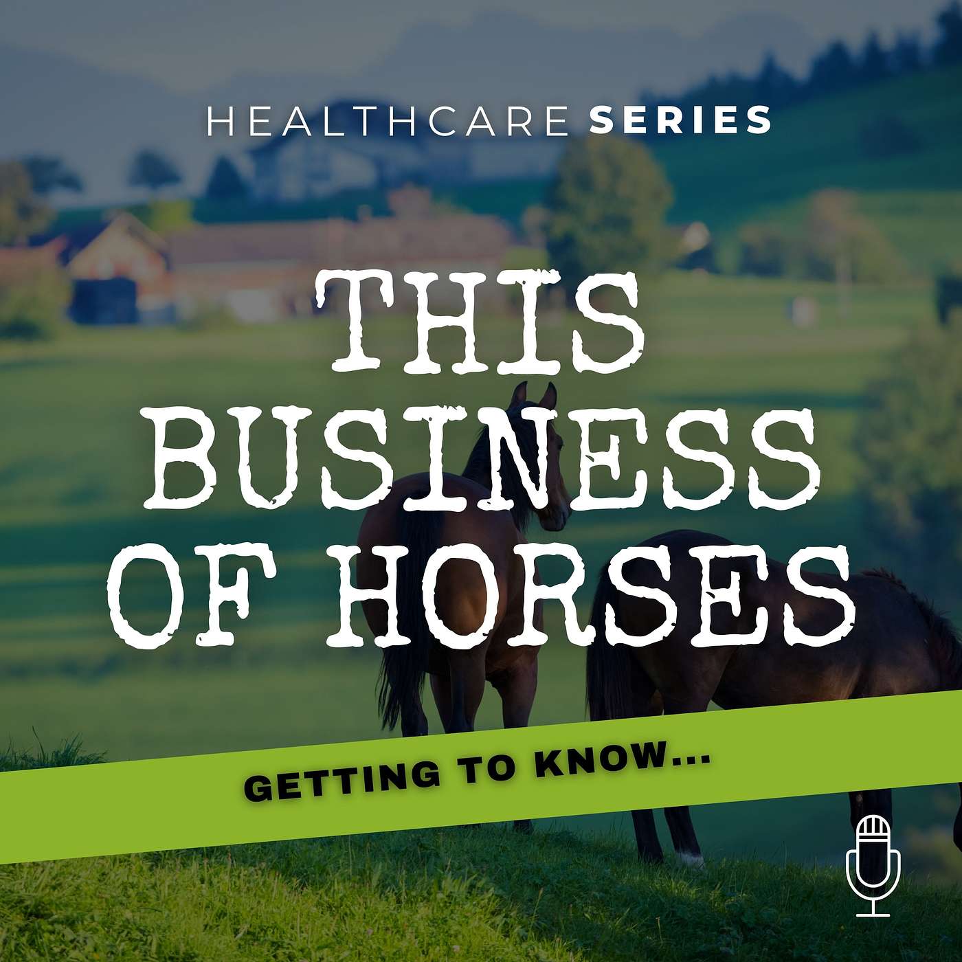 Getting to Know...IV Horse