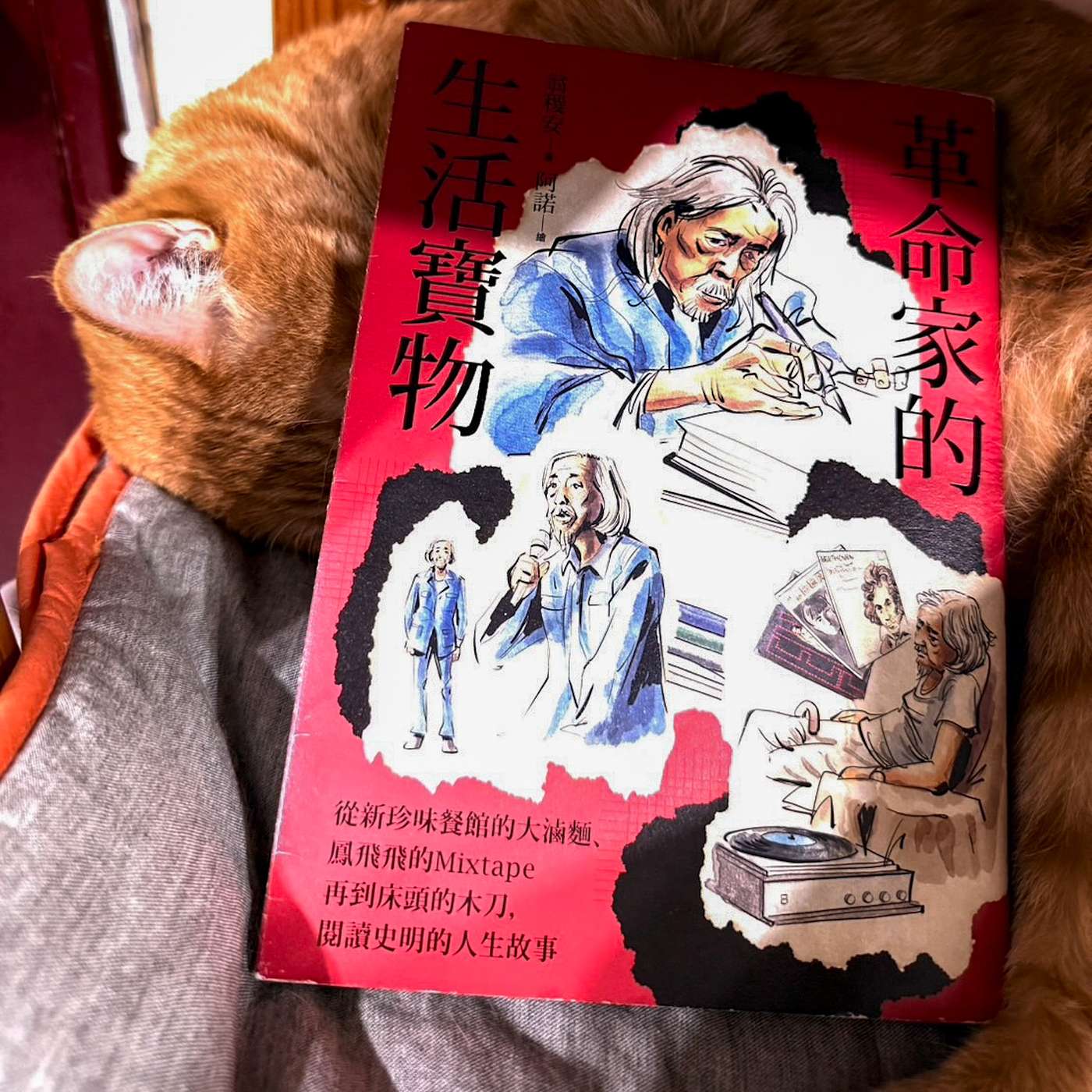 【書中自有黃金鮑EP116】《革命家的生活寶物》：倒數五百天、泳具和炸雞