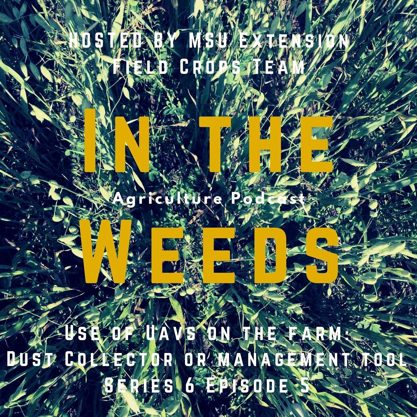 In the Weeds: Use of UAVs on the Farm: Dust Collector or Management Tool episode artwork