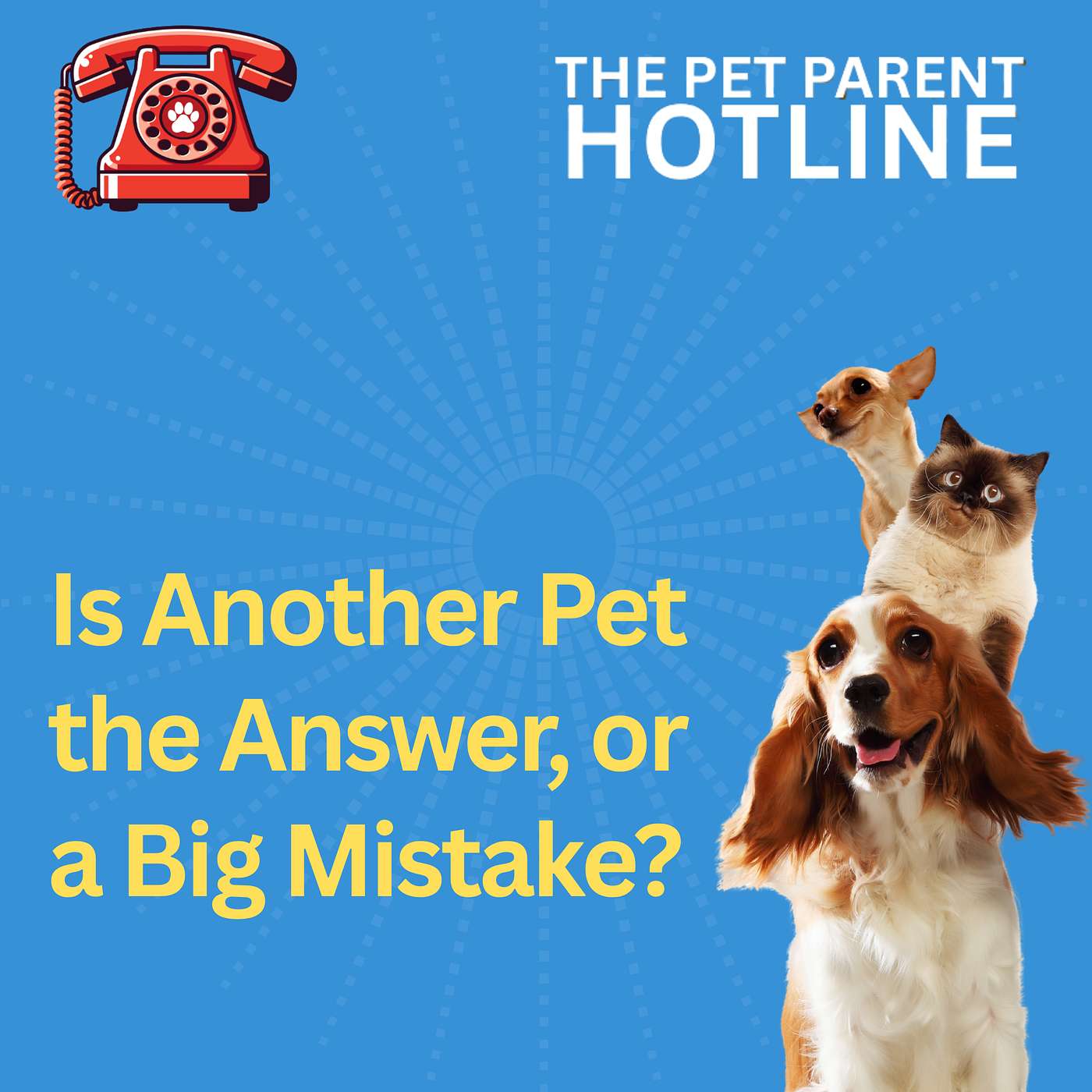 Is Another Pet the Answer, or a Big Mistake?