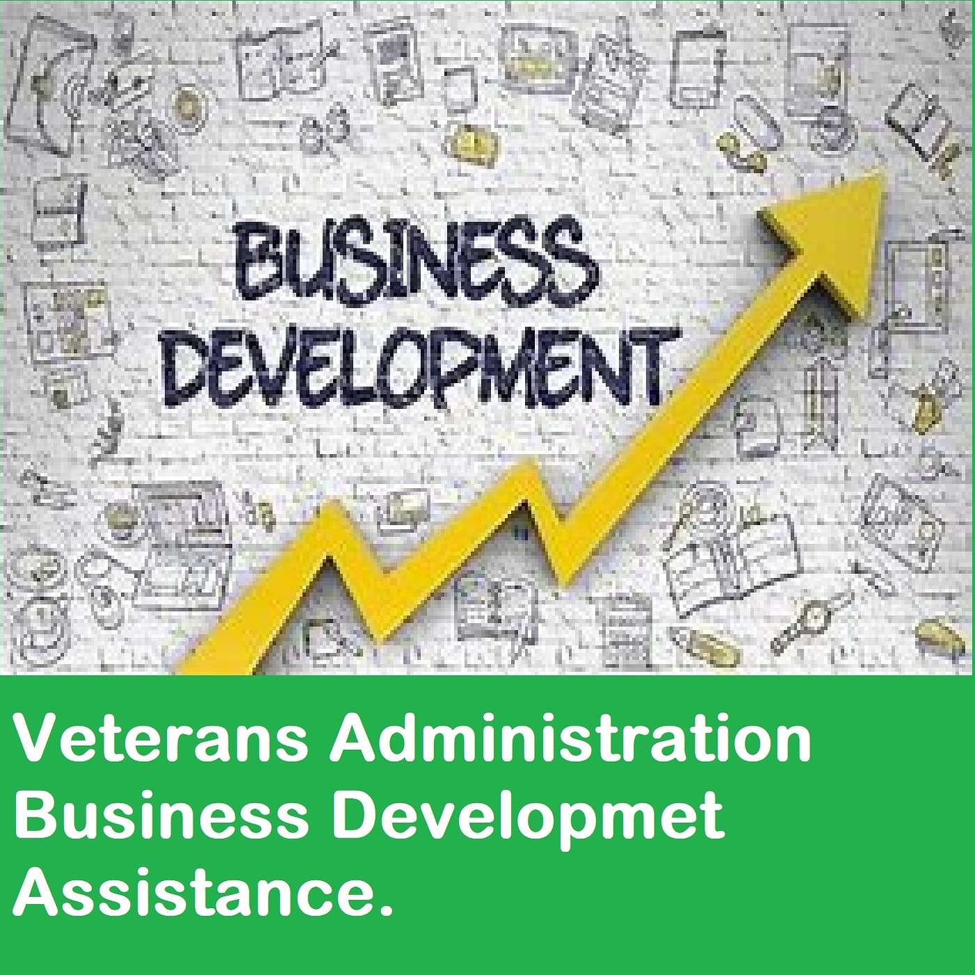 Need help from the VA to get your business off the ground. Here is what you need to know.