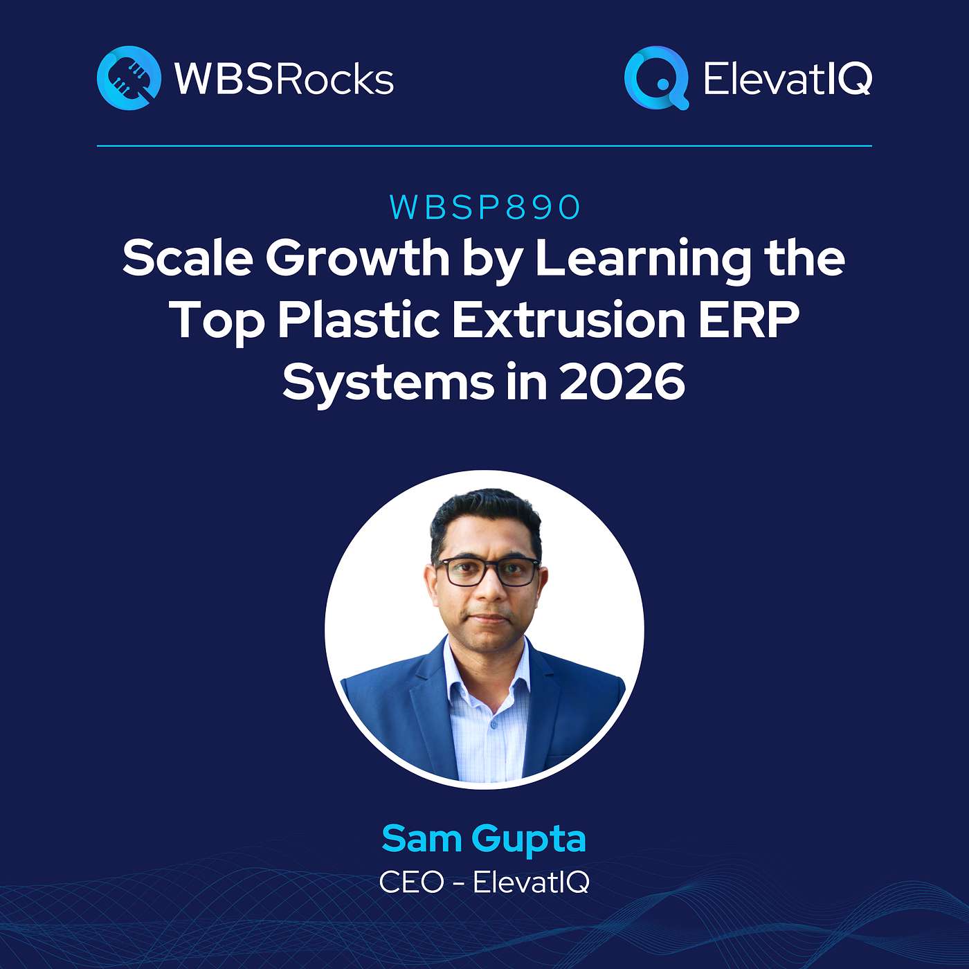 WBSP890: Scale Growth by Learning the Top Plastic Extrusion ERP Systems in 2026 w/ Sam Gupta episode artwork