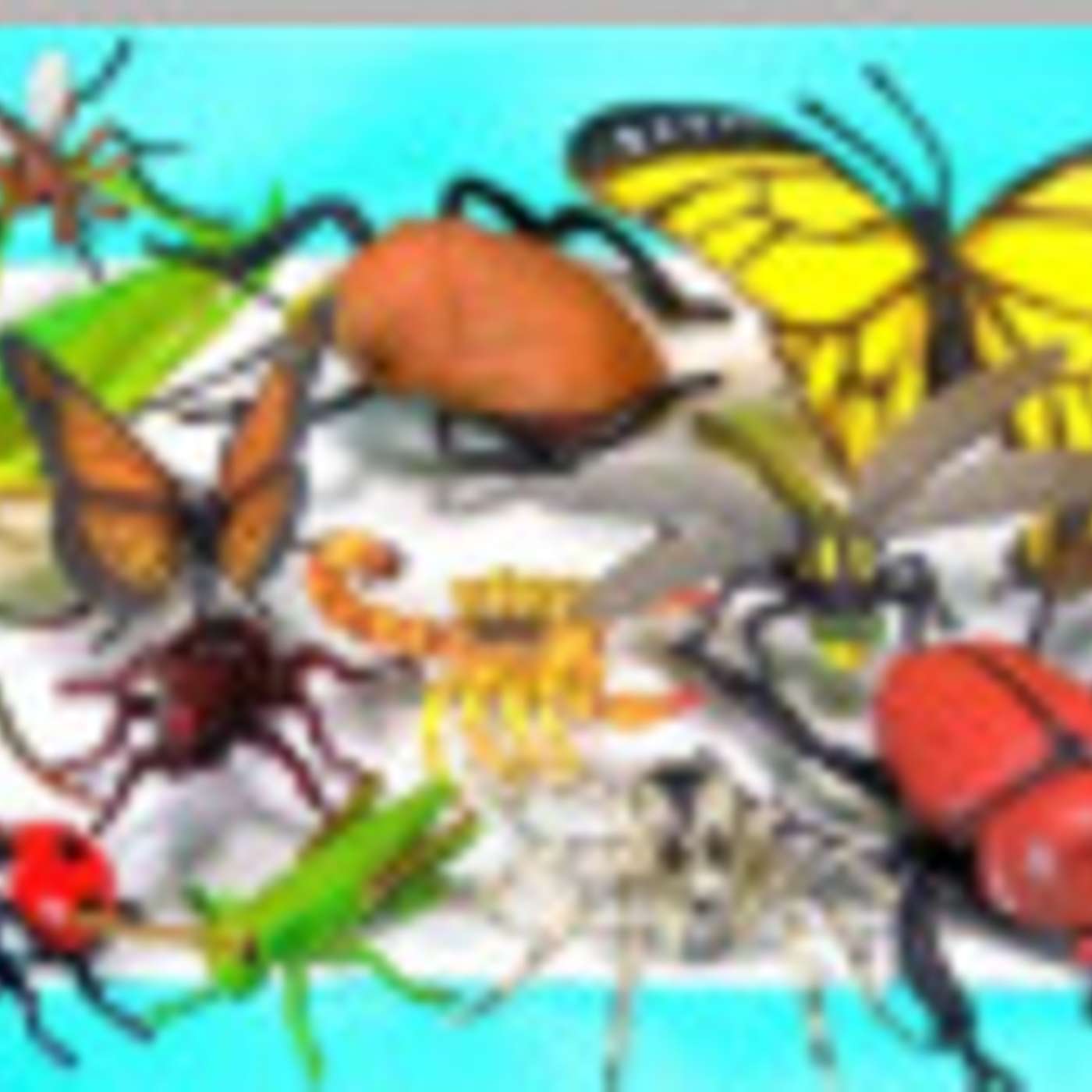Lucky Ladybug episode artwork