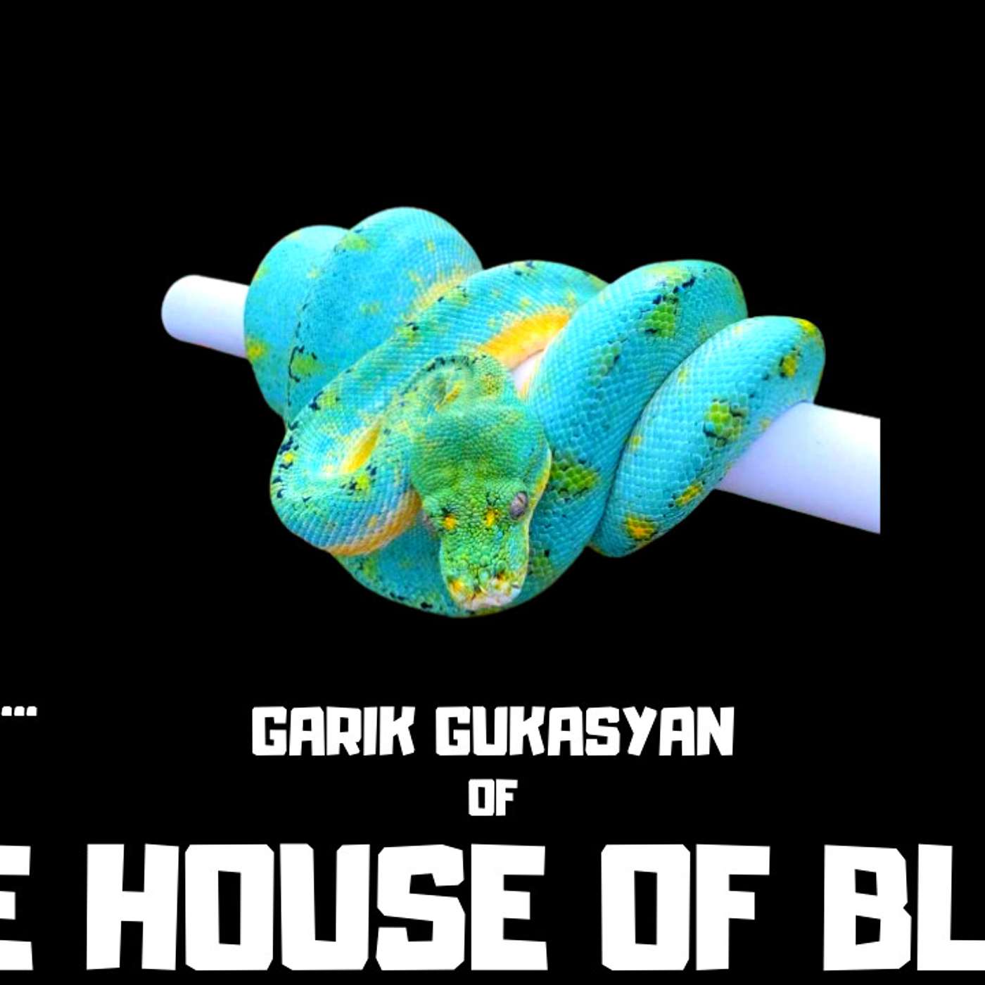 #93 GARIK GUKASYAN OF THE HOUSE OF BLUE | GREEN TREE PYTHON BREEDER | TRAP TALK WITH MJ PODCAST