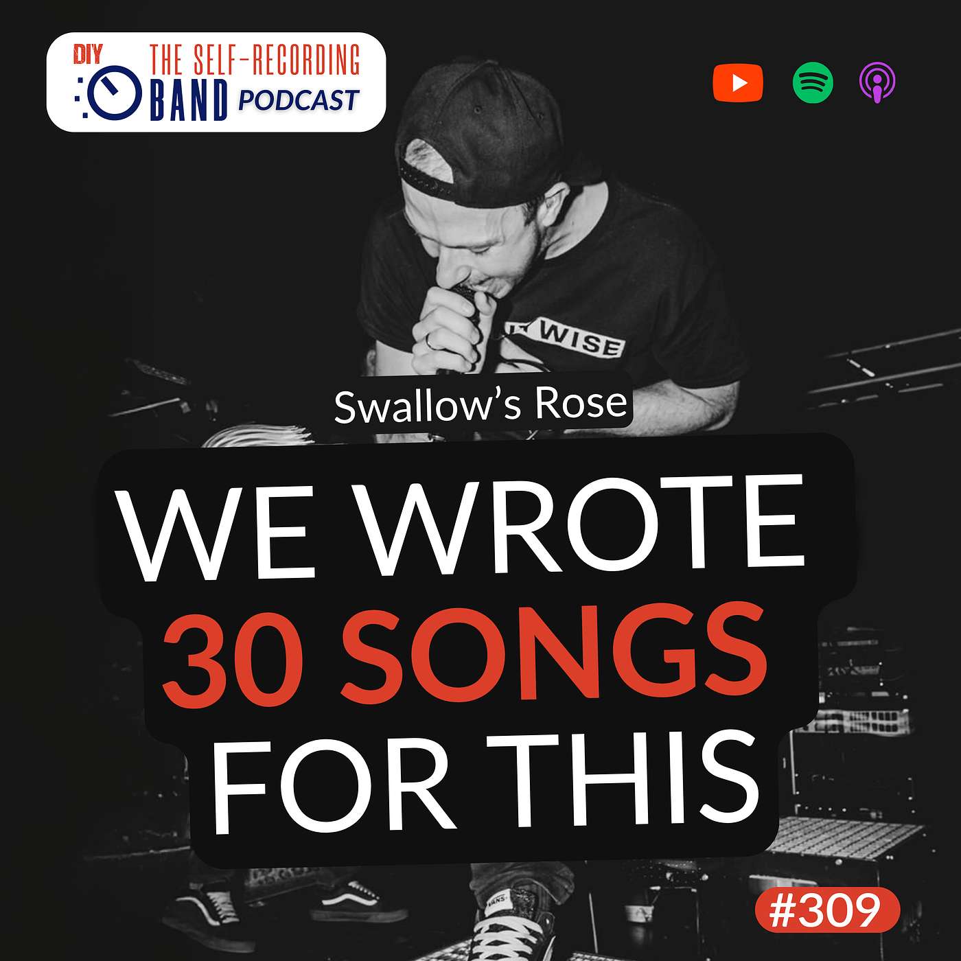309: From 30 Demo Songs to A Finished Record That Matters - Swallow's Rose