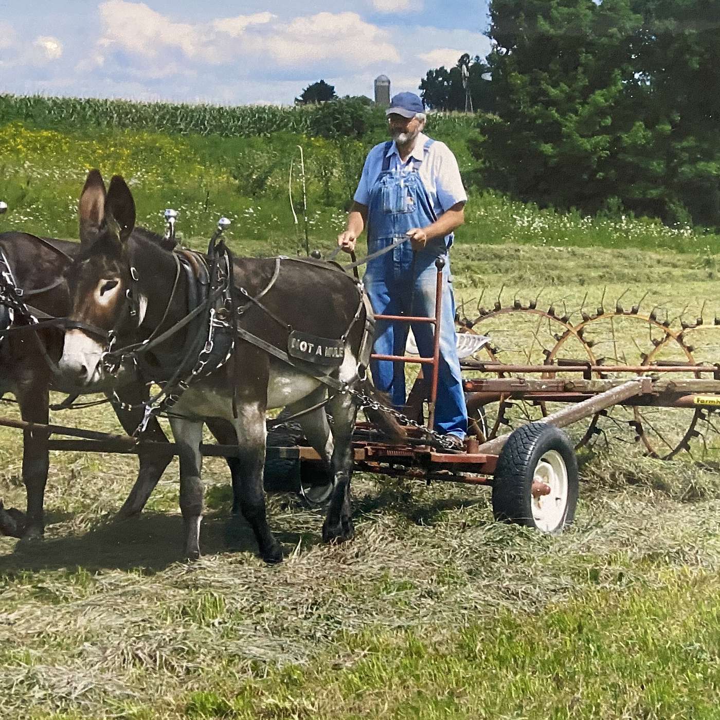 Ep 126  Doug Scheetz, Pioneer Equipment and the Mechanical Spiders from Mars